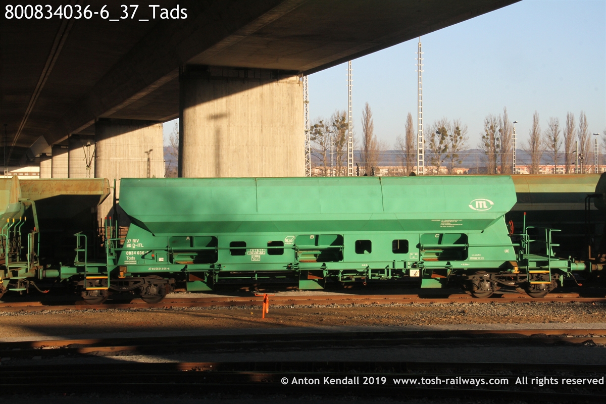 800834036-6_37_Tads.JPG
